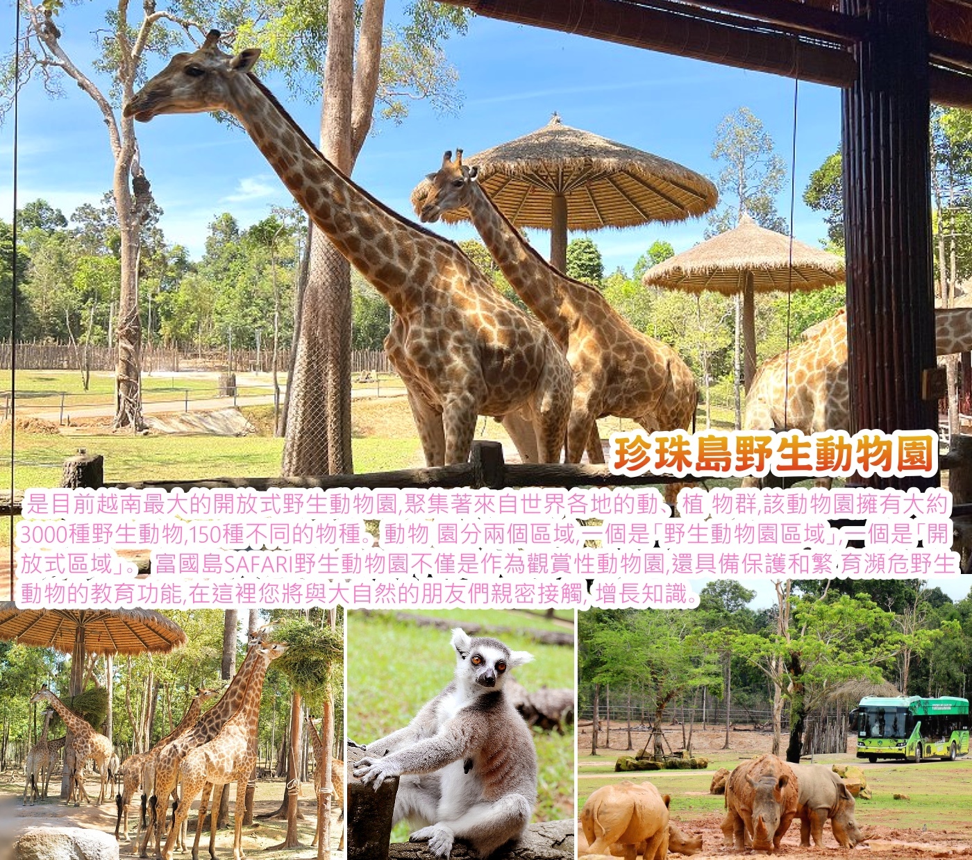 野生動物園Vinpearl Safari